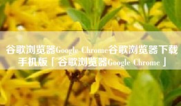 谷歌浏览器Google Chrome谷歌浏览器下载手机版「谷歌浏览器Google Chrome」