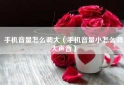手机音量怎么调大（手机音量小怎么调大声音）