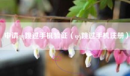 申请qq跳过手机验证（qq跳过手机注册）