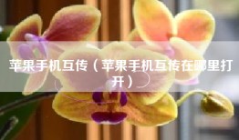 苹果手机互传（苹果手机互传在哪里打开）