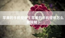 苹果的手机壁纸（苹果的手机壁纸怎么删除掉）