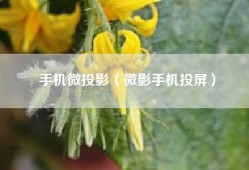 手机微投影（微影手机投屏）
