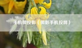手机微投影（微影手机投屏）