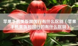 苹果手机美版跟国行有什么区别（苹果手机美版和国行的有什么区别）