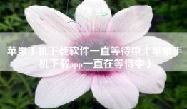 苹果手机下载软件一直等待中（苹果手机下载app一直在等待中）