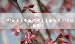 手机充不上电怎么修（手机充不上电如何修）