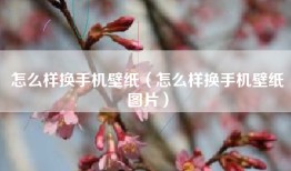 怎么样换手机壁纸（怎么样换手机壁纸图片）