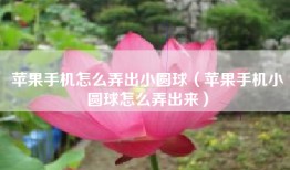 苹果手机怎么弄出小圆球（苹果手机小圆球怎么弄出来）