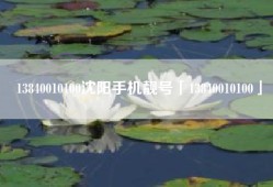 13840010100沈阳手机靓号「13840010100」
