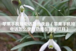 苹果手机接电话怎么录音（苹果手机接电话怎么录音功能在哪里打开）