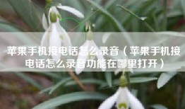 苹果手机接电话怎么录音（苹果手机接电话怎么录音功能在哪里打开）