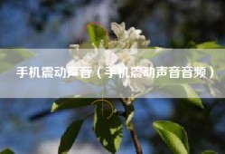 手机震动声音（手机震动声音音频）