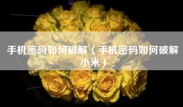 手机密码如何破解（手机密码如何破解小米）