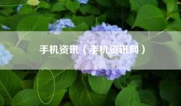 手机资讯（手机资讯网）