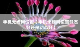 手机无线网设置（手机无线网设置静态好还是动态好）