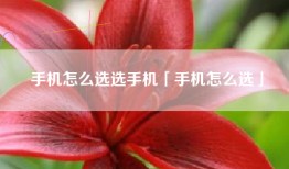 手机怎么选选手机「手机怎么选」