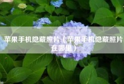 苹果手机隐藏照片（苹果手机隐藏照片在哪里）