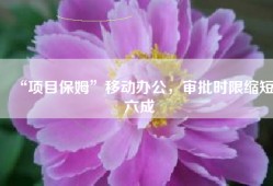 “项目保姆”移动办公，审批时限缩短六成