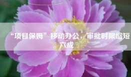 “项目保姆”移动办公，审批时限缩短六成