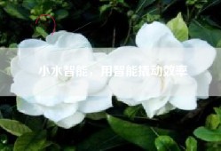 小水智能，用智能撬动效率
