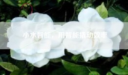 小水智能，用智能撬动效率