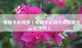 电脑手机同步（电脑手机同步微信聊天记录吗）