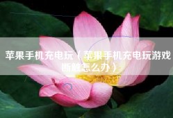 苹果手机充电玩（苹果手机充电玩游戏断触怎么办）