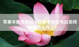 苹果手机充电玩（苹果手机充电玩游戏断触怎么办）