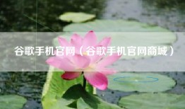 谷歌手机官网（谷歌手机官网商城）