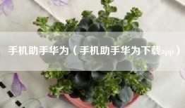 手机助手华为（手机助手华为下载app）
