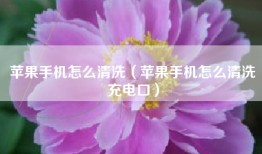 苹果手机怎么清洗（苹果手机怎么清洗充电口）