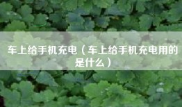 车上给手机充电（车上给手机充电用的是什么）