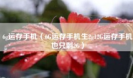 6g运存手机（6G运存手机生2g12G运存手机也只剩2G）