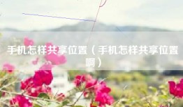 手机怎样共享位置（手机怎样共享位置啊）