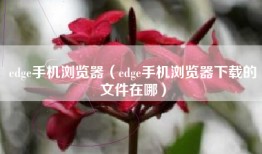 edge手机浏览器（edge手机浏览器下载的文件在哪）