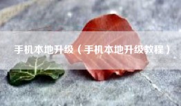 手机本地升级（手机本地升级教程）