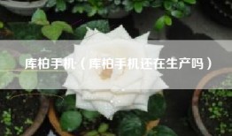 库柏手机（库柏手机还在生产吗）