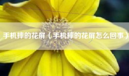 手机摔的花屏（手机摔的花屏怎么回事）