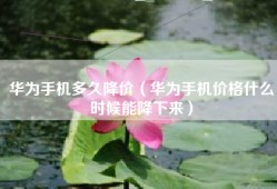 华为手机多久降价（华为手机价格什么时候能降下来）
