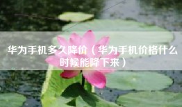 华为手机多久降价（华为手机价格什么时候能降下来）