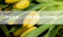 手机迅雷5.0（手机迅雷5.0不升级版）