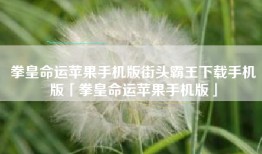 拳皇命运苹果手机版街头霸王下载手机版「拳皇命运苹果手机版」
