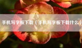 手机写字板下载（手机写字板下载什么）