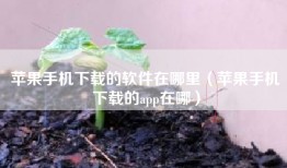 苹果手机下载的软件在哪里（苹果手机下载的app在哪）