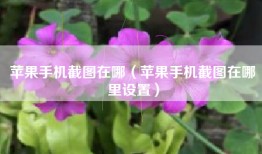 苹果手机截图在哪（苹果手机截图在哪里设置）