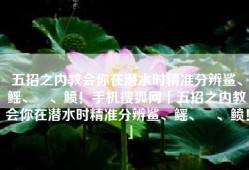 五招之内教会你在潜水时精准分辨鲨、鳐、魟、鲼！手机搜狐网「五招之内教会你在潜水时精准分辨鲨、鳐、魟、鲼！」
