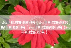 vivo手机续航排行榜（vivo手机续航排名）好手机排行榜「vivo手机续航排行榜（vivo手机续航排名）」