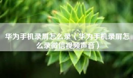 华为手机录屏怎么录（华为手机录屏怎么录微信视频声音）