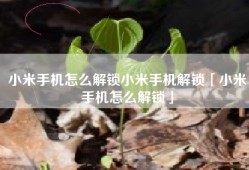 小米手机怎么解锁小米手机解锁「小米手机怎么解锁」