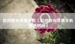 如何查询苹果手机（如何查询苹果手机激活时间）